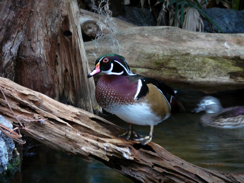 image05